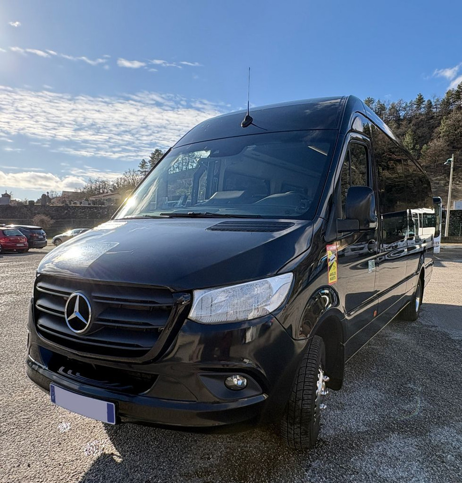 MB 519 SPRINTER TATOO - Minibus, Passenger van: picture 1 MB 519 SPRINTER TATOO - Minibus, Passenger van: picture 1