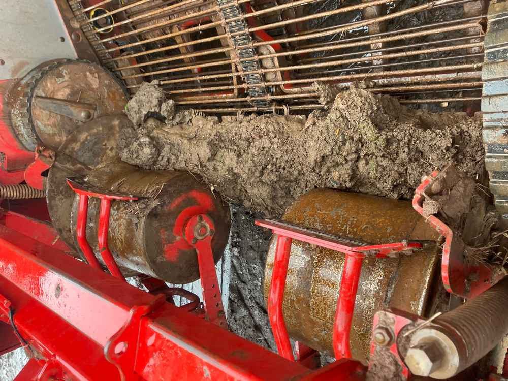 Harvester Grimme Varitron 220: picture 10 Harvester Grimme Varitron 220: picture 10