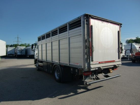 Horse truck MAN TGS 18.420 Tiertransporter,Euro 6, Manual Seilwinde, el. Ladebordwand Voll Luft: picture 6
