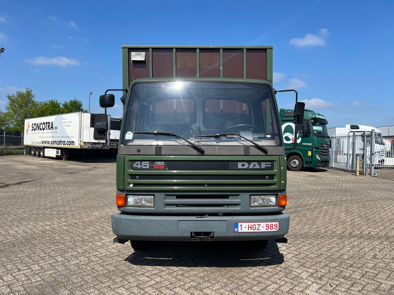 DAF 45.160 - Horse truck: picture 2 DAF 45.160 - Horse truck: picture 2