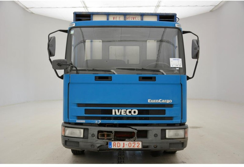 Iveco 65E14* - Livestock truck: picture 2 Iveco 65E14* - Livestock truck: picture 2