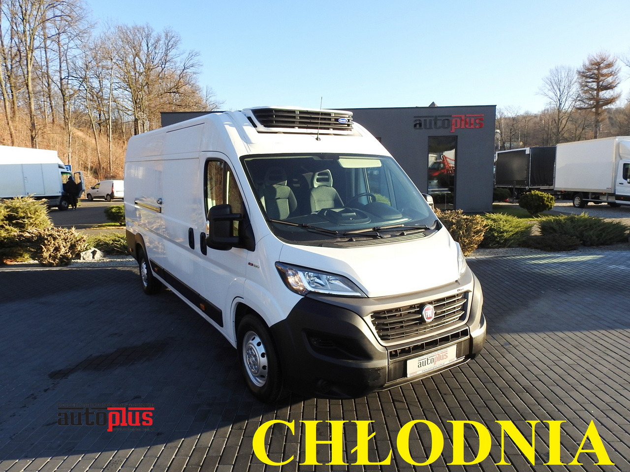 FIAT DUCATO REFRIGERATOR VAN -10*C POWER SUPPLY 230V AIR CONDITIONING  175HP - Refrigerated delivery van: picture 1 FIAT DUCATO REFRIGERATOR VAN -10*C POWER SUPPLY 230V AIR CONDITIONING  175HP - Refrigerated delivery van: picture 1