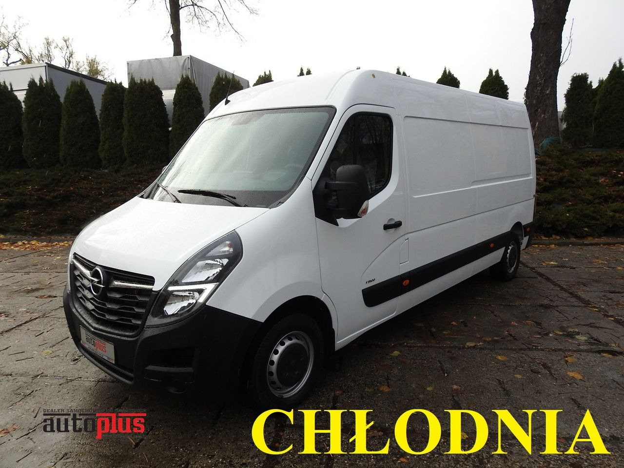 OPEL MOVANO REFRIGERATOR VAN 0*C CRUISE CONTROL LED LIGHTS AIR CONDITIONING 136HP - Refrigerated delivery van: picture 1 OPEL MOVANO REFRIGERATOR VAN 0*C CRUISE CONTROL LED LIGHTS AIR CONDITIONING 136HP - Refrigerated delivery van: picture 1