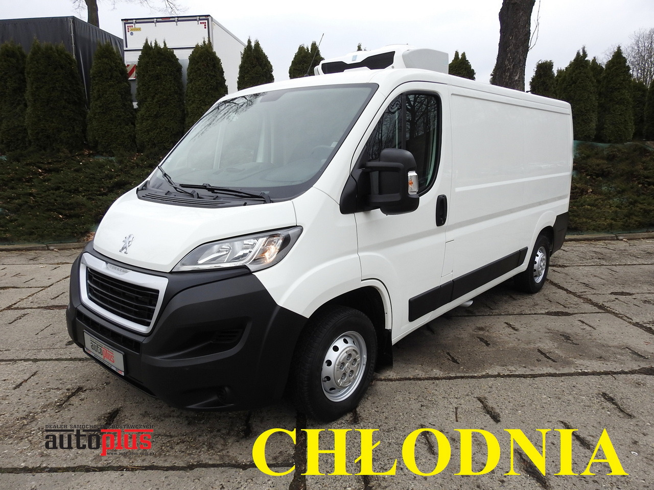 PEUGEOT BOXER REFRIGERATOR VAN -5*C TWO COMPARTMENTS CRUISE CONTROL AIR CONDITIONING 120HP - Refrigerated delivery van: picture 1 PEUGEOT BOXER REFRIGERATOR VAN -5*C TWO COMPARTMENTS CRUISE CONTROL AIR CONDITIONING 120HP - Refrigerated delivery van: picture 1