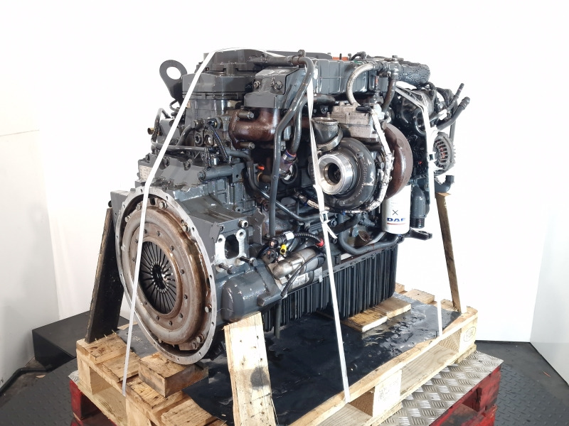 Engine for Truck DAF PX-7 164 H1 Engine (Truck): picture 1