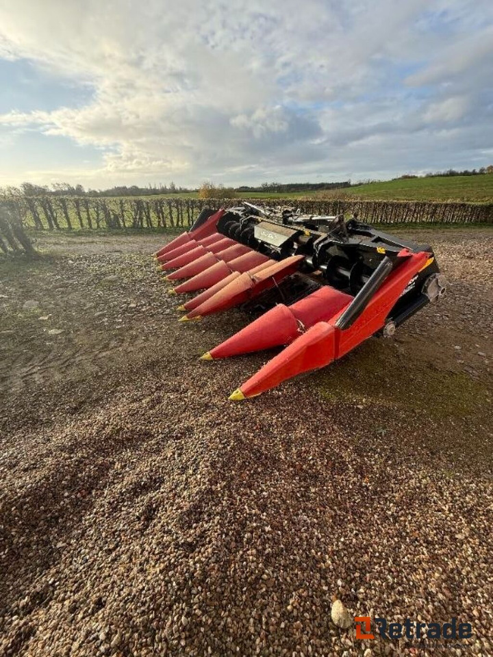 Geringhoff Majsskærebord 8Rk. / Corn Heads - Maize harvester: picture 4 Geringhoff Majsskærebord 8Rk. / Corn Heads - Maize harvester: picture 4