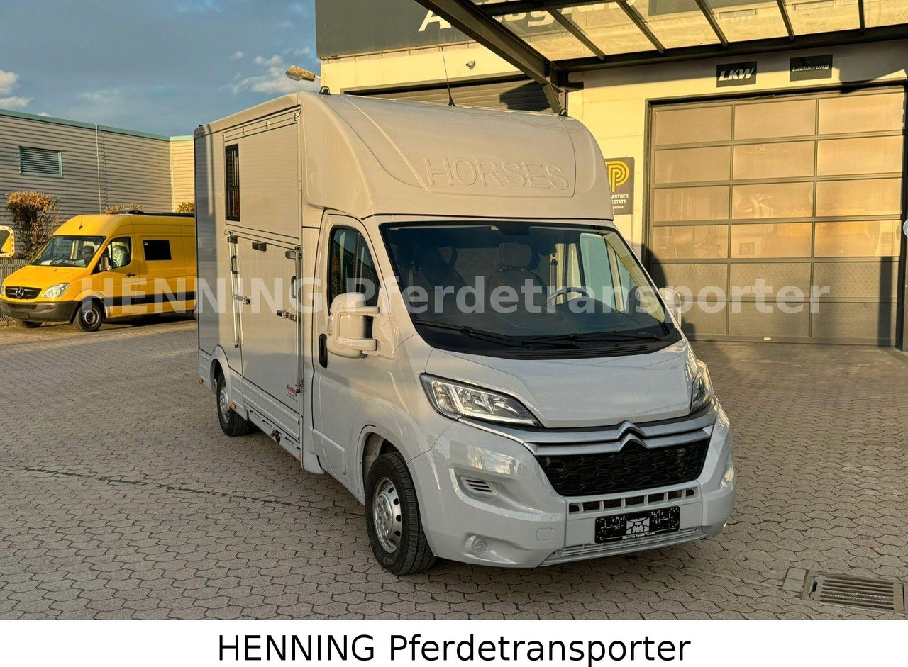 Citroën Jumper 3 - Sitzer PFERDETRANSPORTER - Horse truck: picture 2 Citroën Jumper 3 - Sitzer PFERDETRANSPORTER - Horse truck: picture 2