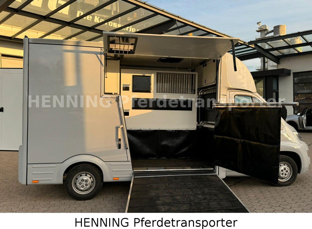 Citroën Jumper 3 - Sitzer PFERDETRANSPORTER - Horse truck: picture 4 Citroën Jumper 3 - Sitzer PFERDETRANSPORTER - Horse truck: picture 4