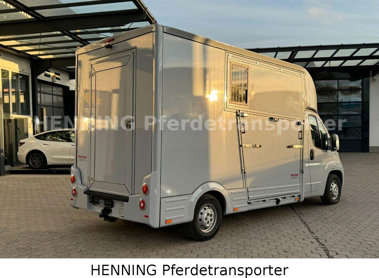 Citroën Jumper 3 - Sitzer PFERDETRANSPORTER - Horse truck: picture 3 Citroën Jumper 3 - Sitzer PFERDETRANSPORTER - Horse truck: picture 3