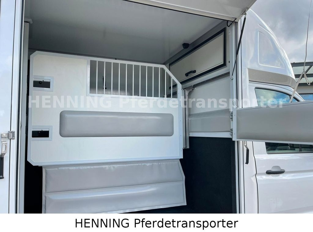 New Horse truck MAN TGE 3 - Sitzer *1100 Kg NUTZLAST*: picture 8