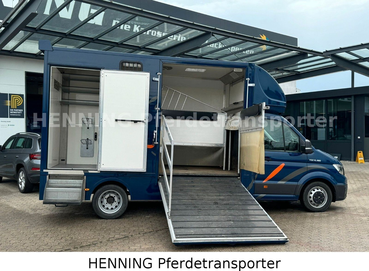 MAN TGE 5.500kg Gesamtgewicht - Livestock truck: picture 5 MAN TGE 5.500kg Gesamtgewicht - Livestock truck: picture 5
