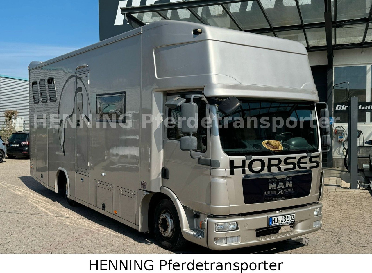 MAN TGL PFERDETRANSPORTER RJH - Livestock truck: picture 3 MAN TGL PFERDETRANSPORTER RJH - Livestock truck: picture 3
