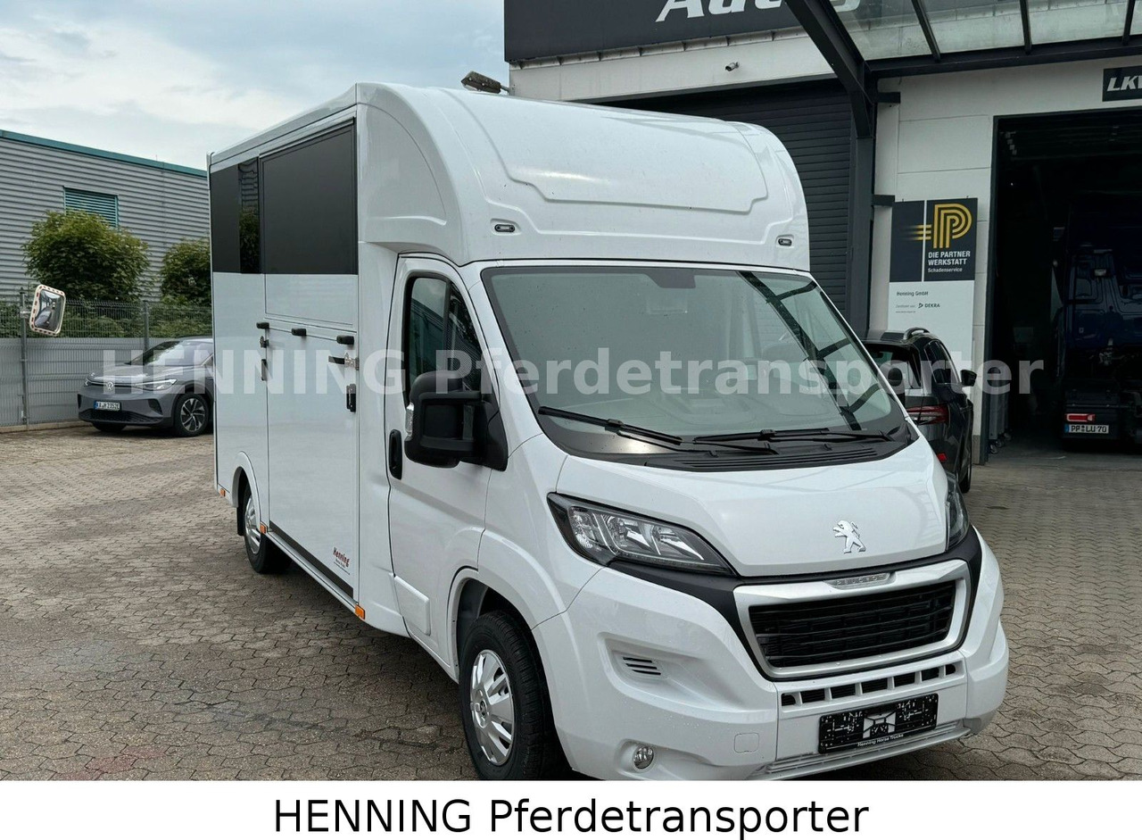 Peugeot Boxer *NEUWAGEN* ca. 1.200kg Nutzlast - Livestock truck: picture 2 Peugeot Boxer *NEUWAGEN* ca. 1.200kg Nutzlast - Livestock truck: picture 2