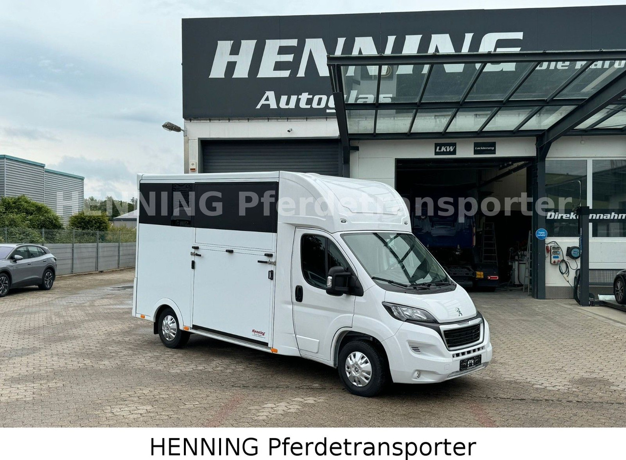 Peugeot Boxer *NEUWAGEN* ca. 1.200kg Nutzlast - Livestock truck: picture 1 Peugeot Boxer *NEUWAGEN* ca. 1.200kg Nutzlast - Livestock truck: picture 1