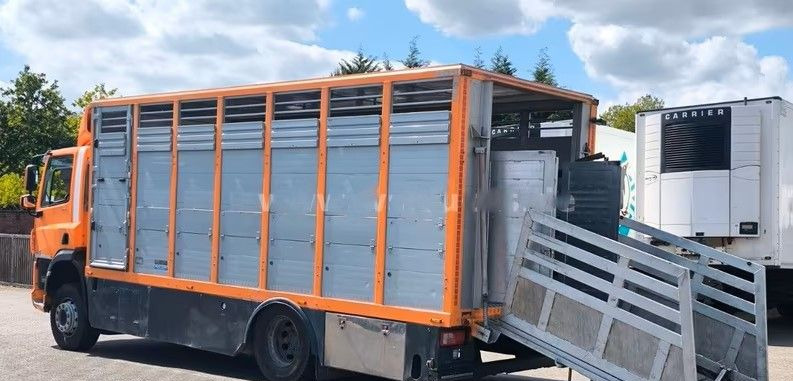 DAF CF 400 Menke Einstock | Transport zwierząt jednopoziomowy | 2 kratownice do bydła| Retarder | Euro 6 - Livestock truck: picture 4 DAF CF 400 Menke Einstock | Transport zwierząt jednopoziomowy | 2 kratownice do bydła| Retarder | Euro 6 - Livestock truck: picture 4