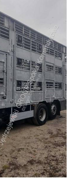 DAF XF - Livestock truck: picture 5 DAF XF - Livestock truck: picture 5