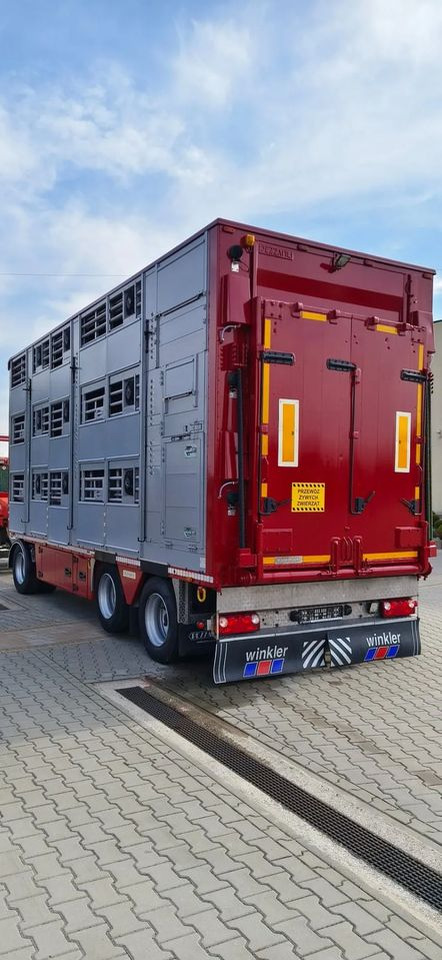 Pezzaioli RBA 32/TRZYOSIOWA PRZYCZEPA-2XBYDŁO,3X TRZODA - Livestock trailer: picture 4 Pezzaioli RBA 32/TRZYOSIOWA PRZYCZEPA-2XBYDŁO,3X TRZODA - Livestock trailer: picture 4