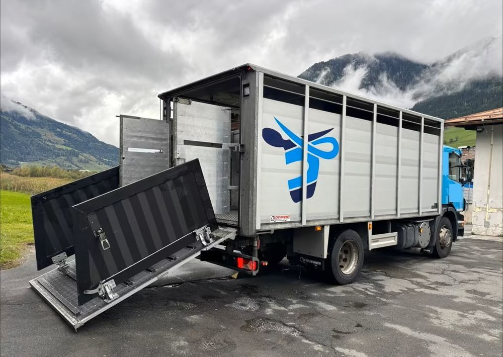 Scania P280 4x2 – Pojazd do przewozu zwierząt VIEHFAHRZEUG / jednopoziomowy – 171.000 km!! – Euro 5 leasing Scania P280 4x2 – Pojazd do przewozu zwierząt VIEHFAHRZEUG / jednopoziomowy – 171.000 km!! – Euro 5: picture 6 Scania P280 4x2 – Pojazd do przewozu zwierząt VIEHFAHRZEUG / jednopoziomowy – 171.000 km!! – Euro 5 leasing Scania P280 4x2 – Pojazd do przewozu zwierząt VIEHFAHRZEUG / jednopoziomowy – 171.000 km!! – Euro 5: picture 6