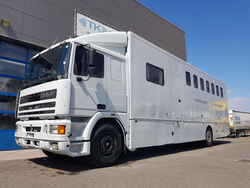 DAF 95.350 Paardenwagen met zitverblijf 7 paarden 7 horses - Horse truck: picture 1 DAF 95.350 Paardenwagen met zitverblijf 7 paarden 7 horses - Horse truck: picture 1