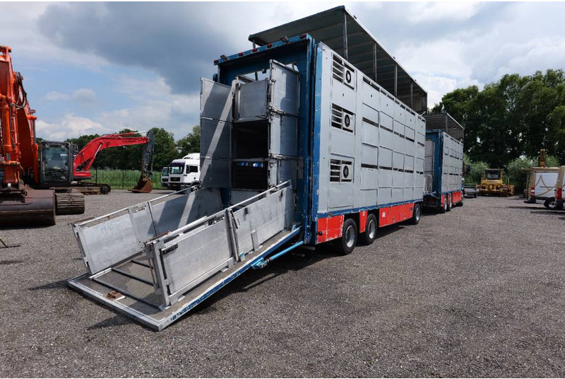 Volvo FH 13 480 6x2 3 stock livestock transport Cuppers - Livestock truck: picture 3 Volvo FH 13 480 6x2 3 stock livestock transport Cuppers - Livestock truck: picture 3
