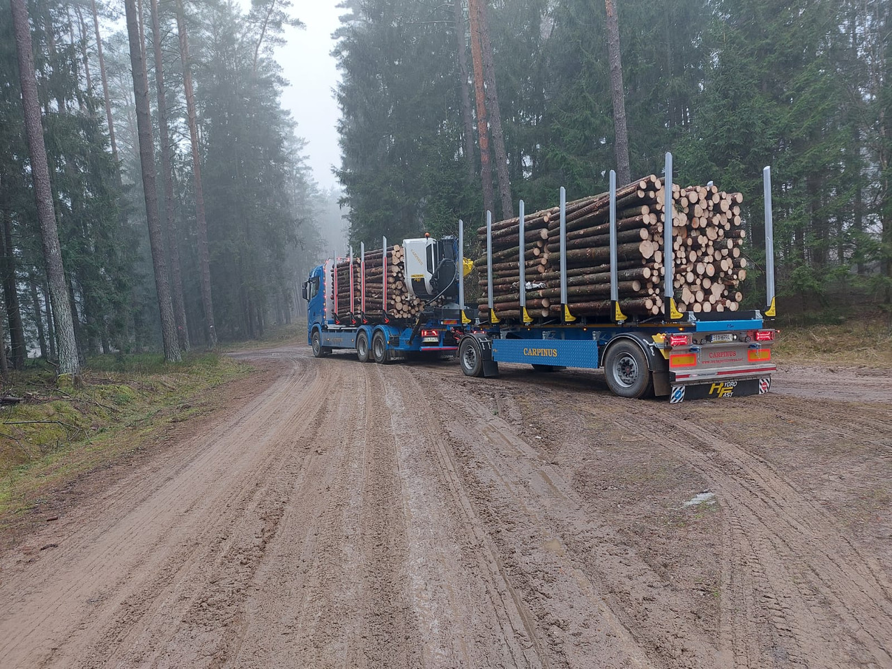 Hydrofast Przyczepa 2 osiowa do drewna stosowego HFP2/2-axle lumber trailer HFP2 - Timber trailer: picture 3 Hydrofast Przyczepa 2 osiowa do drewna stosowego HFP2/2-axle lumber trailer HFP2 - Timber trailer: picture 3