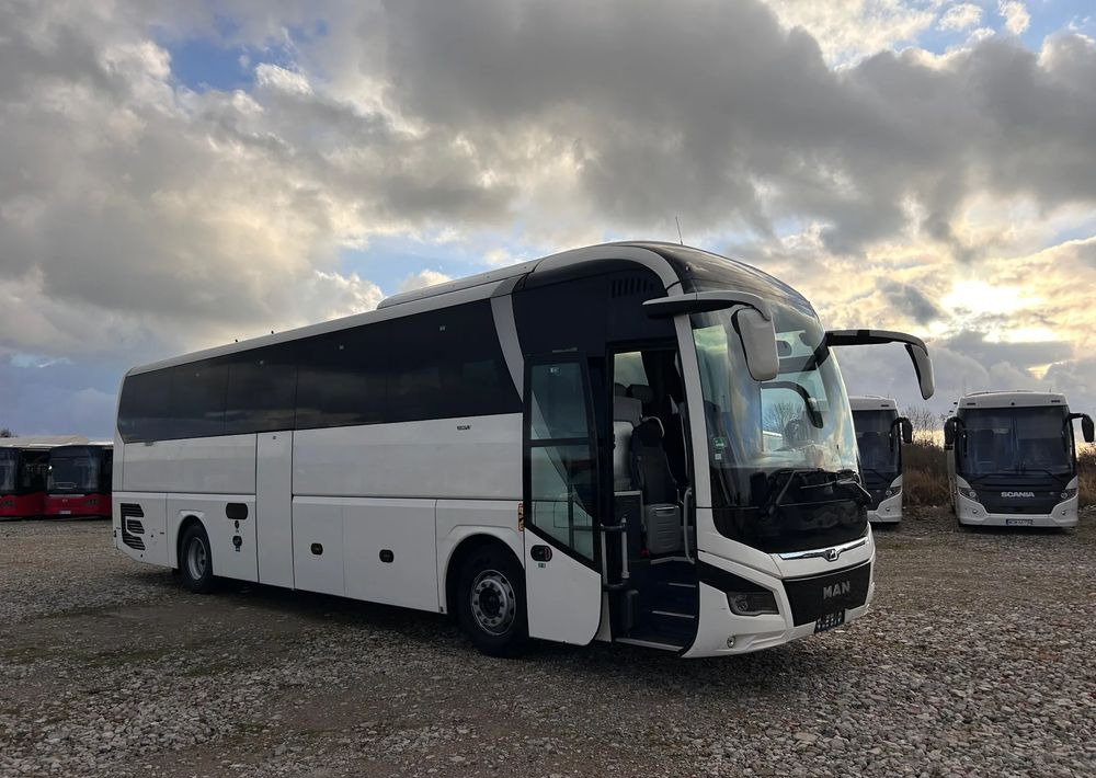 MAN Lions Coach - Coach: picture 1 MAN Lions Coach - Coach: picture 1