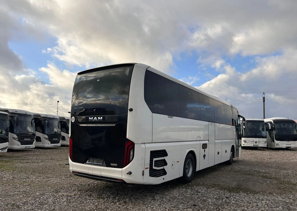 MAN Lions Coach - Coach: picture 5 MAN Lions Coach - Coach: picture 5