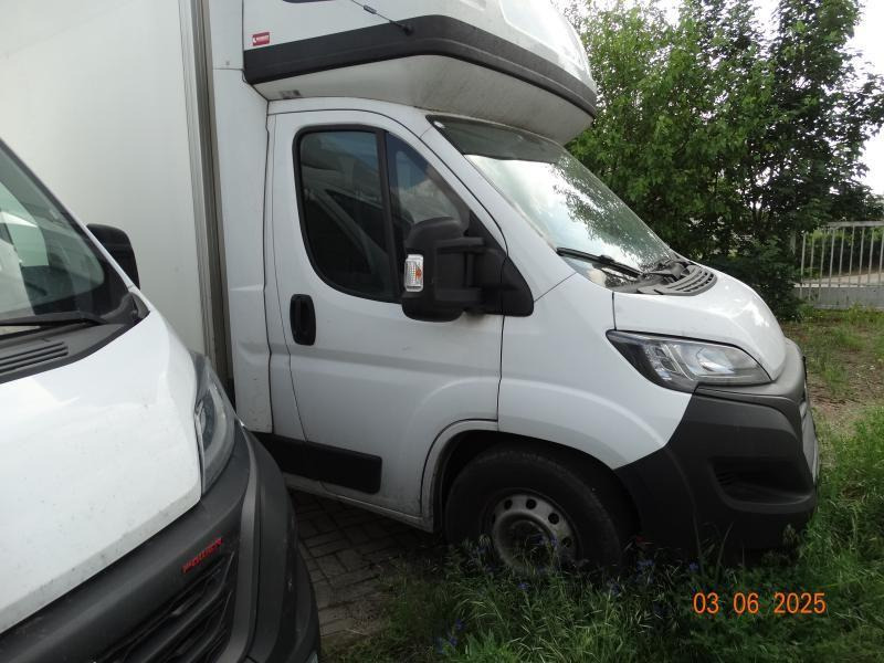 FIAT DUCATO CHŁODNIA/IZOTERMA - Refrigerated delivery van: picture 1 FIAT DUCATO CHŁODNIA/IZOTERMA - Refrigerated delivery van: picture 1