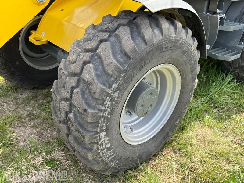 Wheel loader 2023 Wacker Neuson WL70 hjullaster / Skuffe / Pallegafler: picture 16
