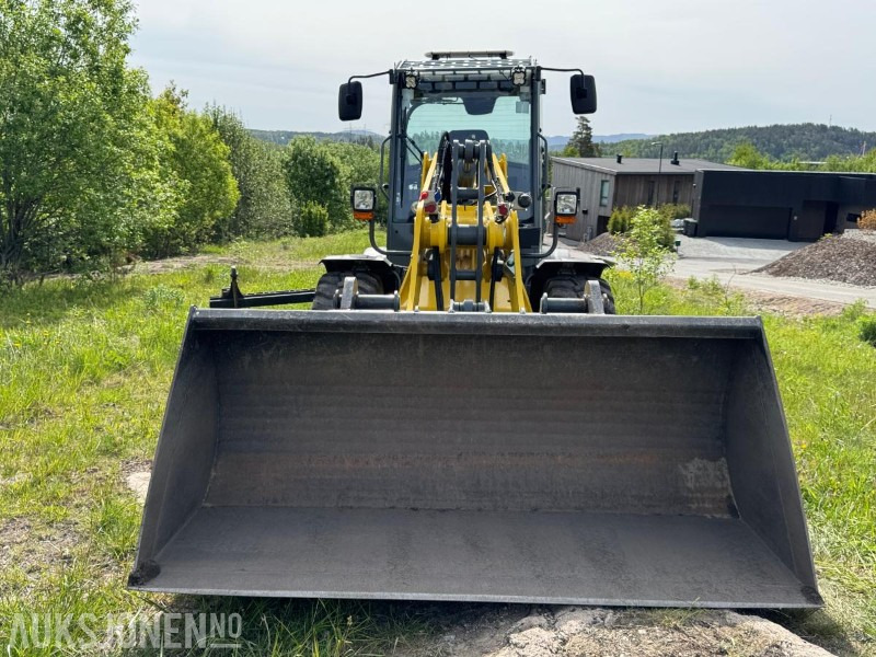 Wheel loader 2023 Wacker Neuson WL70 hjullaster / Skuffe / Pallegafler: picture 9