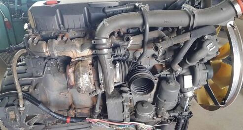 DAF MX13460 DAF truck - Engine for Truck: picture 1 DAF MX13460 DAF truck - Engine for Truck: picture 1
