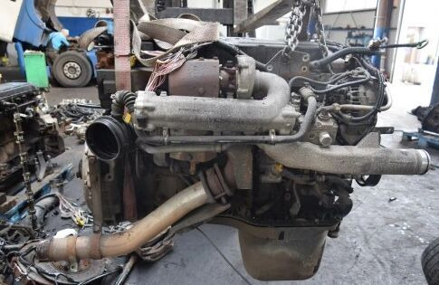 MAN D0836 LFL54 MAN TGL, TGM, M2000, L2000 - Engine for Truck: picture 1 MAN D0836 LFL54 MAN TGL, TGM, M2000, L2000 - Engine for Truck: picture 1