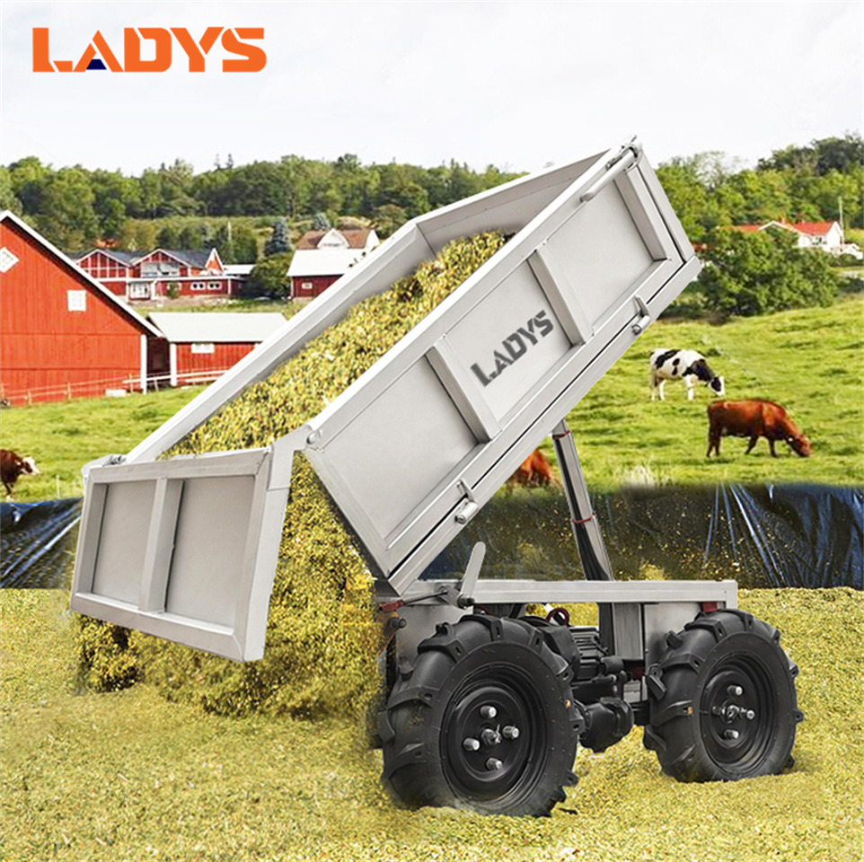 LADYS D-600 All-Terrain Four-Wheel Drive And Eight-Wheel Drive Transport Truck, Mountain Area Farm Orchard Greenhouse Construction Site Creeper Remote Control Electric Agricultural Transport Vehicle - ATV/ Quad: picture 3 LADYS D-600 All-Terrain Four-Wheel Drive And Eight-Wheel Drive Transport Truck, Mountain Area Farm Orchard Greenhouse Construction Site Creeper Remote Control Electric Agricultural Transport Vehicle - ATV/ Quad: picture 3