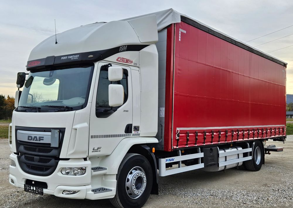 DAF LF 310/WINDA/FIRANKA/NOWE TURBO/NOWE SPRZĘGŁO/EURO 6/SPROWADZONY/20PALET/ŁADOWNOSC 10TON - Curtain side truck: picture 1 DAF LF 310/WINDA/FIRANKA/NOWE TURBO/NOWE SPRZĘGŁO/EURO 6/SPROWADZONY/20PALET/ŁADOWNOSC 10TON - Curtain side truck: picture 1