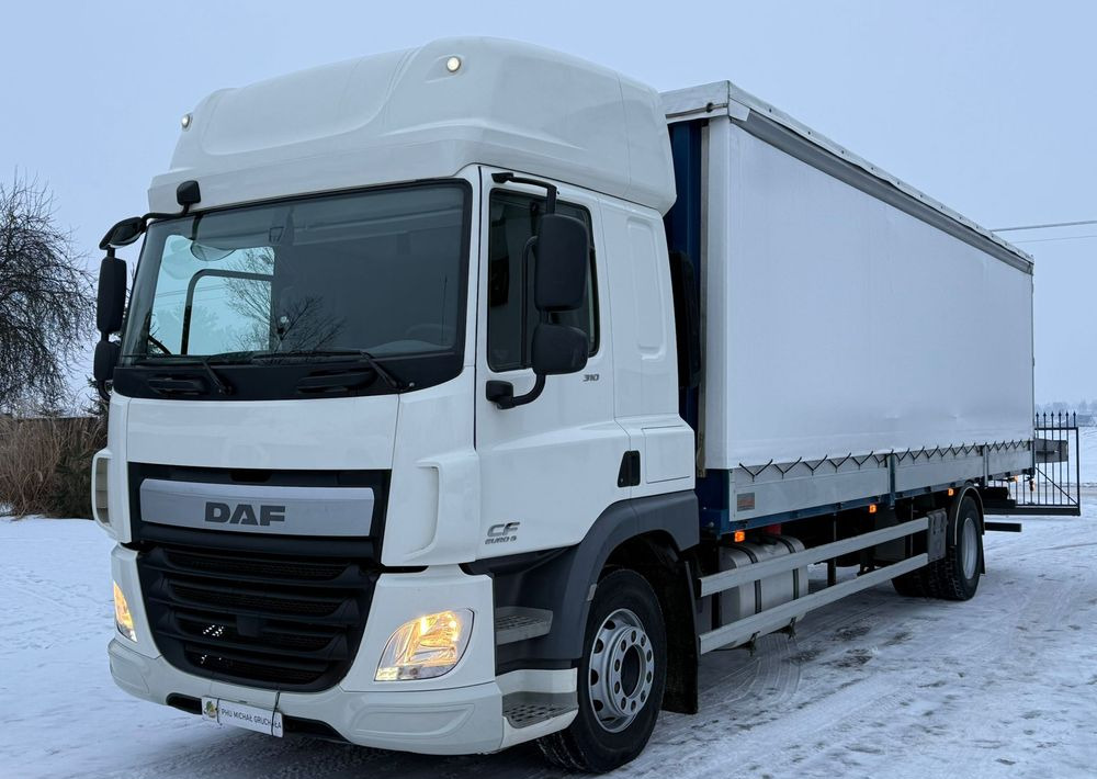 DAF CF 310 - Curtain side truck: picture 3 DAF CF 310 - Curtain side truck: picture 3