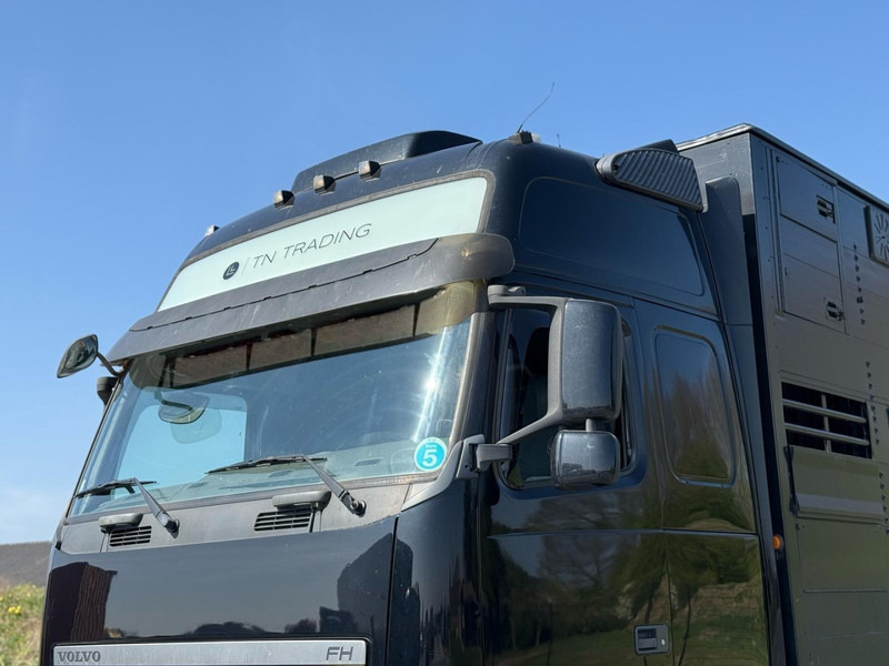 Volvo FH 13.540 STEERING, RETARDER, DOUBLE FLOOR, LIVE STOCK. - Livestock truck: picture 5 Volvo FH 13.540 STEERING, RETARDER, DOUBLE FLOOR, LIVE STOCK. - Livestock truck: picture 5