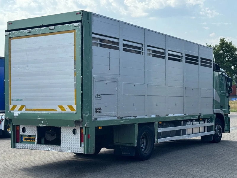 Mercedes-Benz Actros 1832 L 1 - 2 Stock Animal Transport - Livestock truck: picture 3 Mercedes-Benz Actros 1832 L 1 - 2 Stock Animal Transport - Livestock truck: picture 3