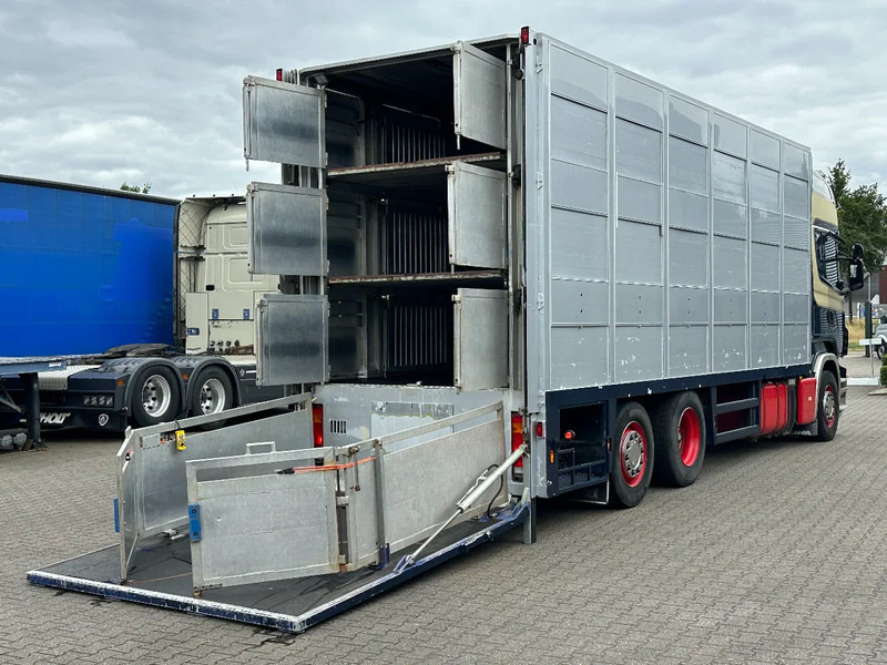 Scania R420 6x2 Topline / 3 Stock Animal Transport / Retarder / Euro 5 - Livestock truck: picture 5 Scania R420 6x2 Topline / 3 Stock Animal Transport / Retarder / Euro 5 - Livestock truck: picture 5
