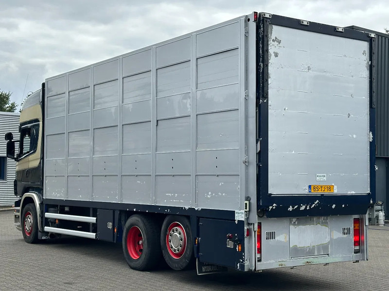 Scania R420 6x2 Topline / 3 Stock Animal Transport / Retarder / Euro 5 - Livestock truck: picture 4 Scania R420 6x2 Topline / 3 Stock Animal Transport / Retarder / Euro 5 - Livestock truck: picture 4