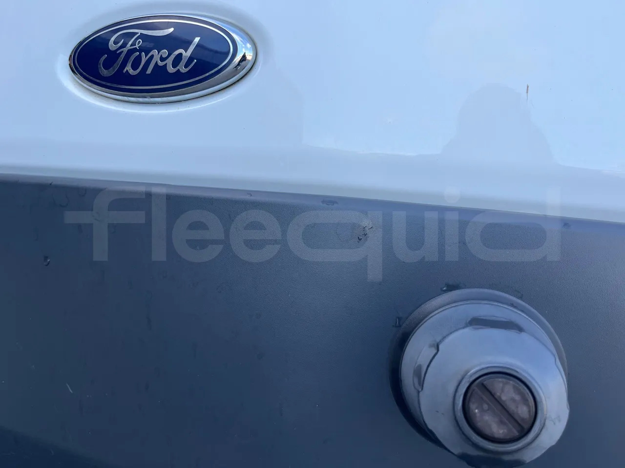 Minibus, Passenger van Ford Transit: picture 36