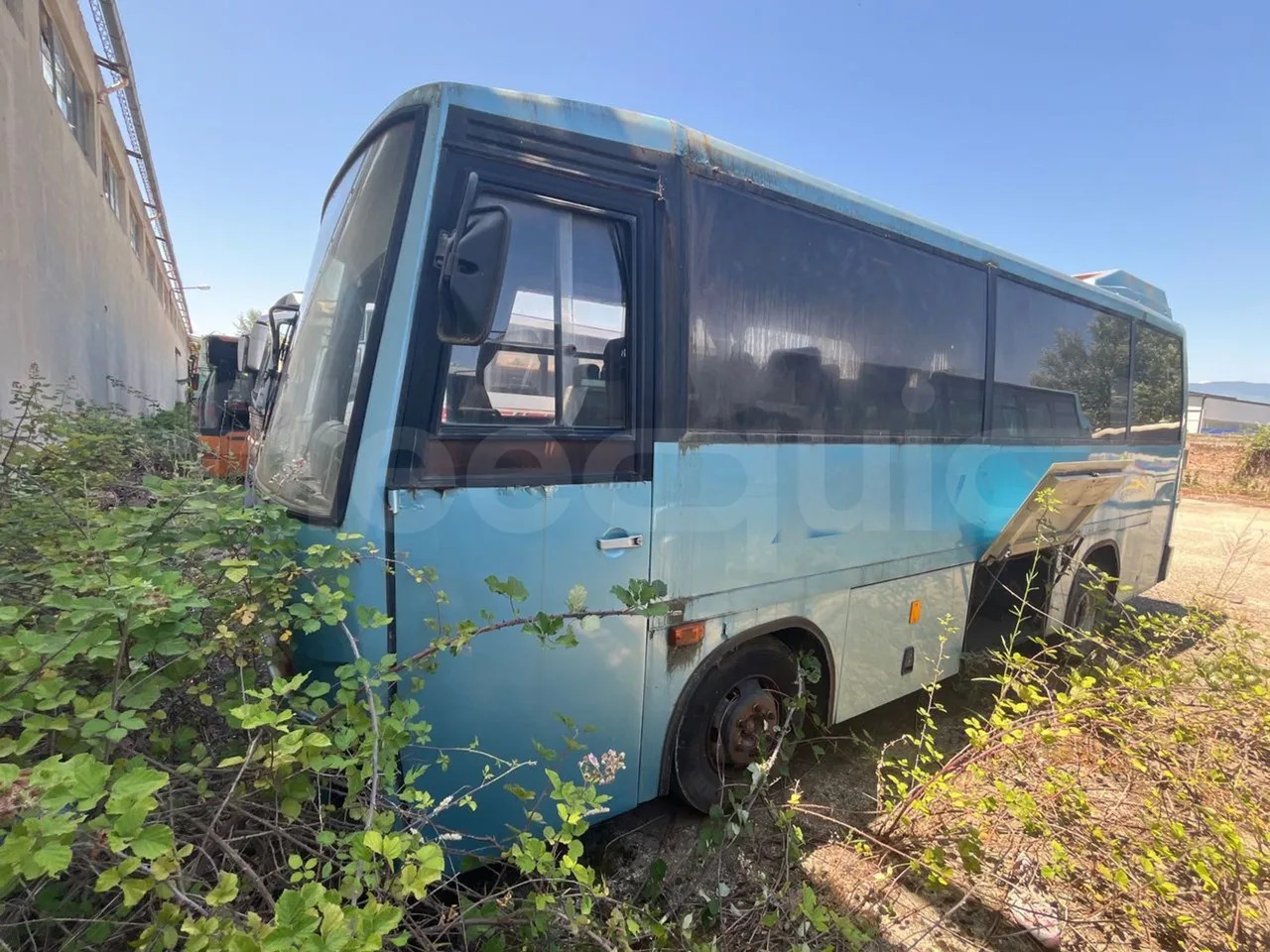 Iveco 315.8.17 - Menarini - Coach: picture 1 Iveco 315.8.17 - Menarini - Coach: picture 1