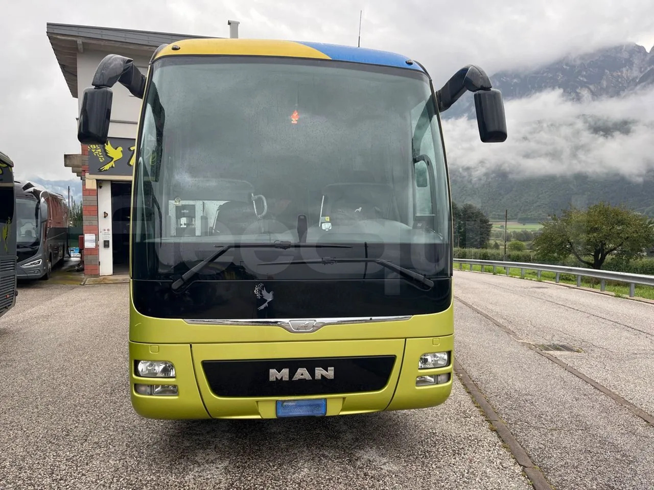 Man Lion's Coach - Coach: picture 2 Man Lion's Coach - Coach: picture 2