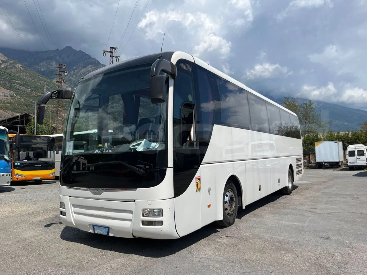Man Lion's Coach - Coach: picture 4 Man Lion's Coach - Coach: picture 4