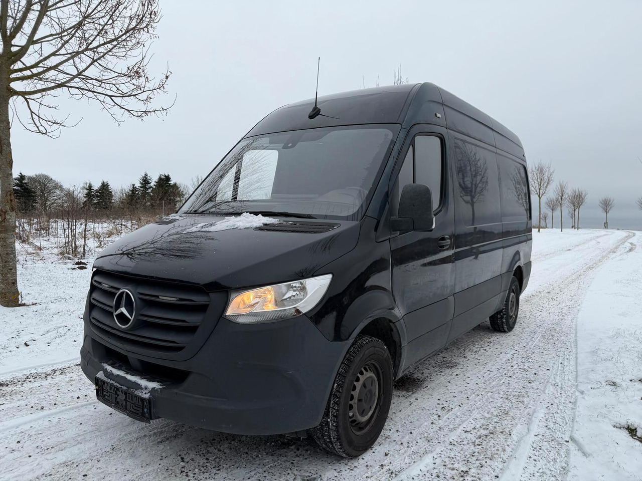 Mercedes-Benz Sprinter III Kasten 316 CDI *Lang* *Kamera* - Panel van: picture 1 Mercedes-Benz Sprinter III Kasten 316 CDI *Lang* *Kamera* - Panel van: picture 1