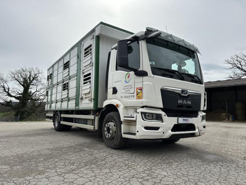 MAN M 90 15.290 TGM - Livestock truck: picture 4 MAN M 90 15.290 TGM - Livestock truck: picture 4