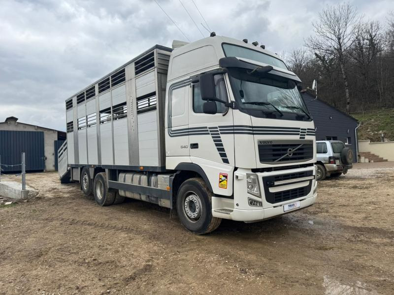 Volvo FH 540 - Livestock truck: picture 2 Volvo FH 540 - Livestock truck: picture 2