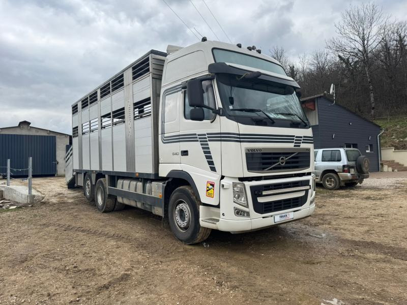 Volvo FH 540 - Livestock truck: picture 4 Volvo FH 540 - Livestock truck: picture 4