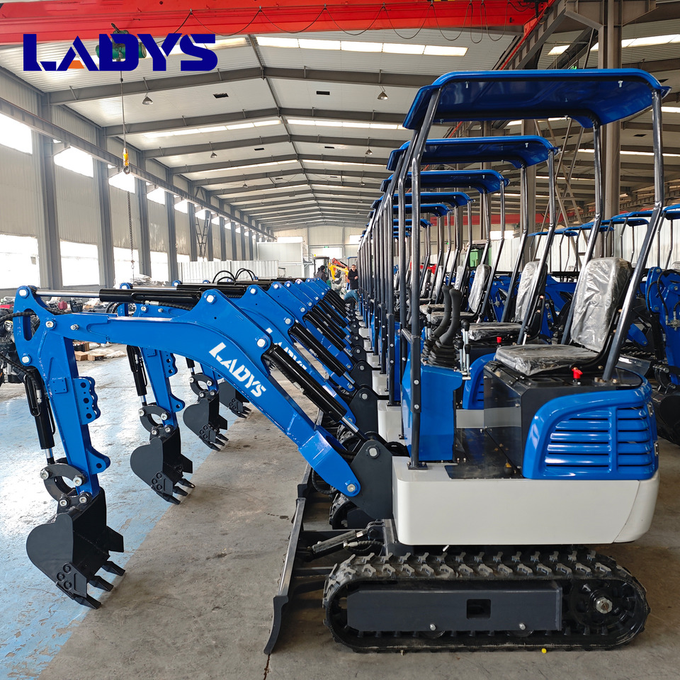 LADYS DY12Pro Mini Excavator Kubota Engine Euro 5/EPA/CE Mini Excavator Digger Miniexcavadora Mini Excavator For Sale - Crawler excavator: picture 5 LADYS DY12Pro Mini Excavator Kubota Engine Euro 5/EPA/CE Mini Excavator Digger Miniexcavadora Mini Excavator For Sale - Crawler excavator: picture 5