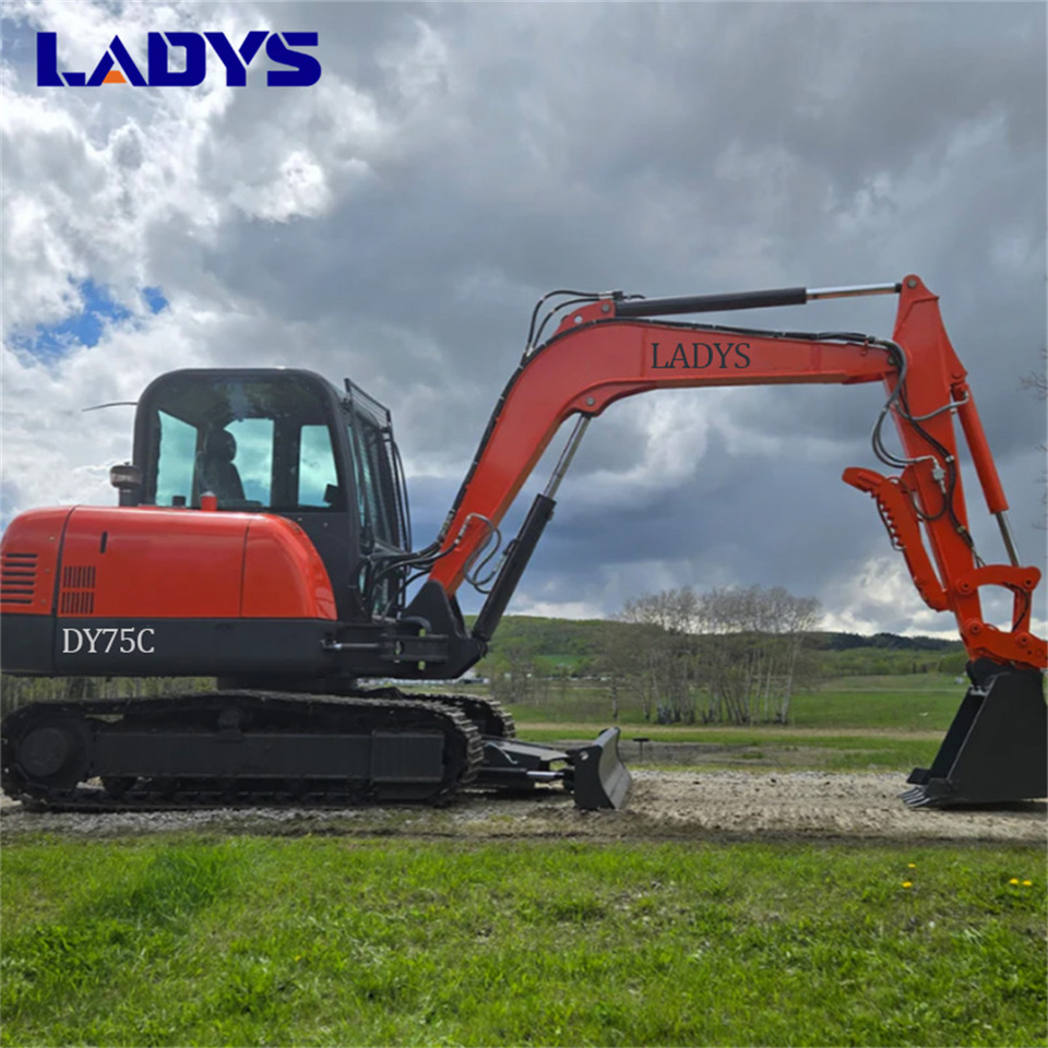 LADYS DY75C Small Excavator Euro 5/Epa Yanmar Engine Small Excavator Crawler Excavator For Sale - Crawler excavator: picture 1 LADYS DY75C Small Excavator Euro 5/Epa Yanmar Engine Small Excavator Crawler Excavator For Sale - Crawler excavator: picture 1