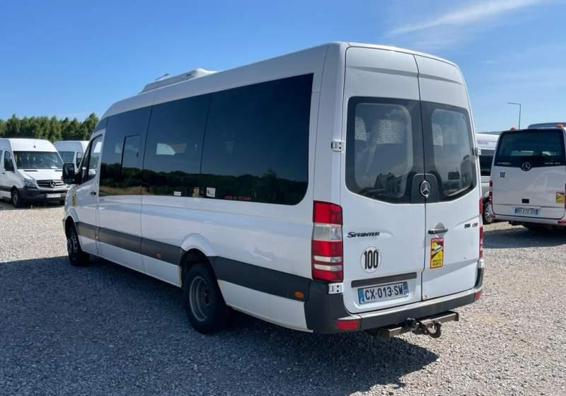 Minibus, Passenger van Mercedes-Benz Sprinter 2008: picture 7